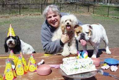 Anniversary overhaul for doggie Petropolis