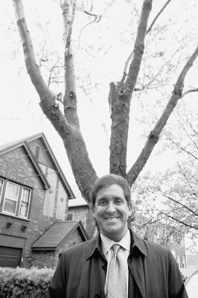 Senator Klein prunes tree after near-fatal accident