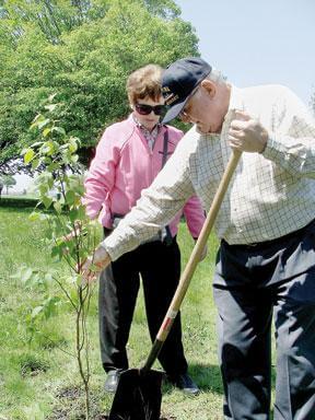 TN 9/11 family replants trees