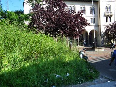 MTA lets weeds overgrow landmark