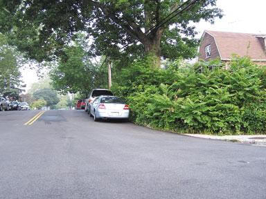 Pelham Gardens residents want stop sign for Bouck Ave.