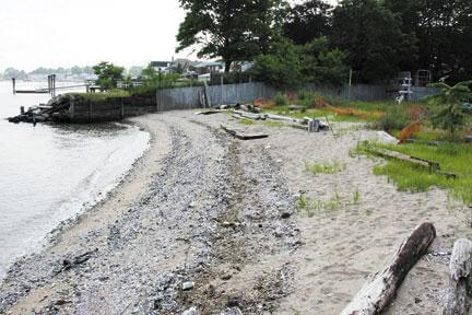 LP Beach KO’d by City Health Department
