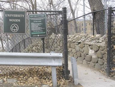 ‘Forgotten’ park gets first grant
