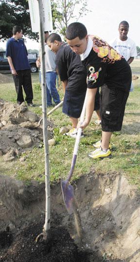 FP Park advocates replant memorial grove with stronger, vandal-proof trees