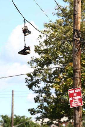 Sneaker removal cleans up local Morris Park streets