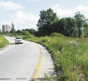 Agencies squabble over I-95 weed cutting