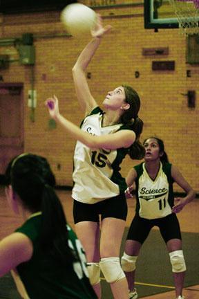 Volleyball Roundup