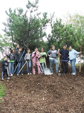 M.S. 71 teams up with parks to clean Vets Memorial