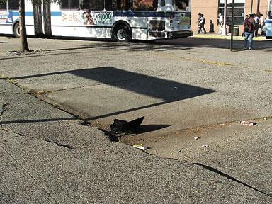 MTA workers abuse Amendola Plaza walkway