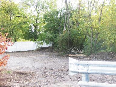 Doggie pooh stench makes vacant lot a stinker