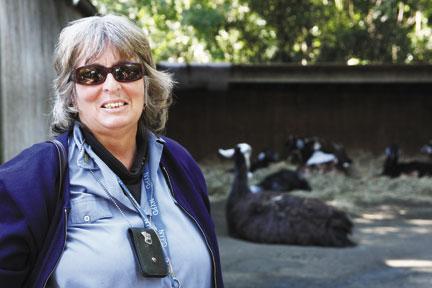 Childhood passion kept alive at WCS’s Children’s Zoo