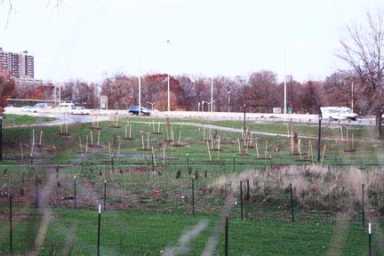 Pelham Bay community critizes planting