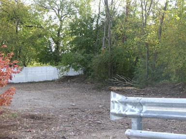 Dog walkers abuse vacant lot
