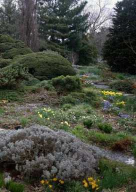 Wave Hill prepares for springtime