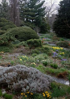 Wave Hill prepares for springtime