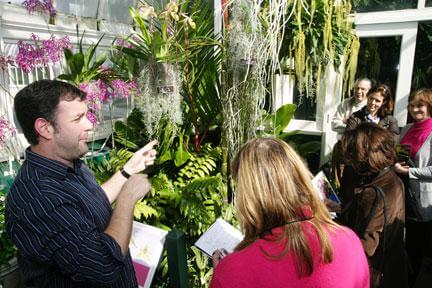 Orchids grow at the New York Botanical Garden