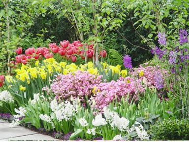 NYBG celebrates Henry Hudson’s arrival
