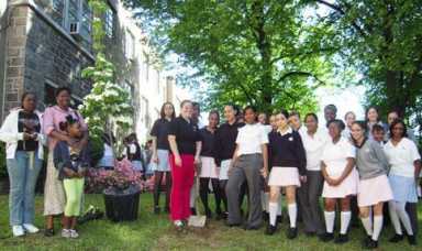 Tree dedication to deceased classmate