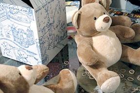 Pelham Parkway teddy bear drug bust