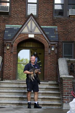 Bravest saves pets from Pel Bay blaze