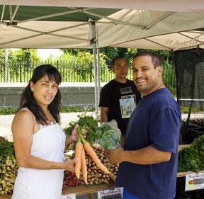 Castle Hill farmer’s market opens next to Y
