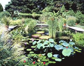 Enjoy lush aquatic gardens and a salute to the tomato