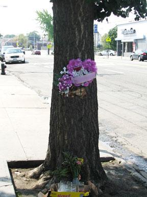 Father pinned to tree