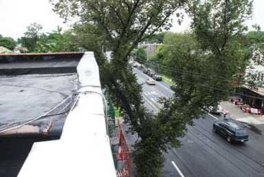 T-Mobile proposes 25-foot cell tower on CI