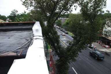 CB 10 votes against Island-threatening cell tower