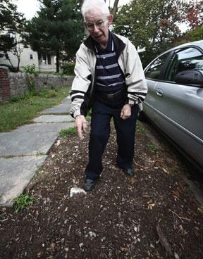 Parks removes 22 tree stumps