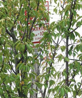Nature rakes in revenue