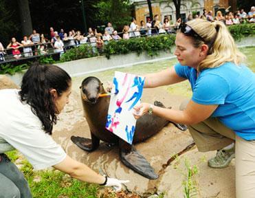 California sea lions showcase painting skills