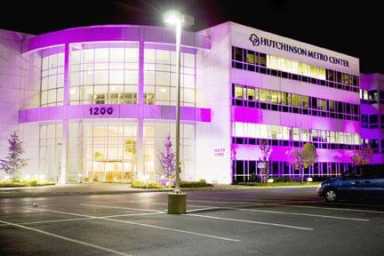 Shining light on domestic violence