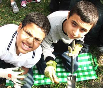 P.S. 83 class plants daffodils in remembrance of Sept. 11
