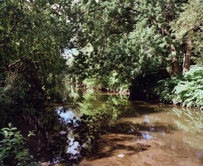 Bronx photographer captures borough’s wilderness