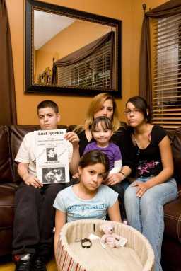 Puppy-napper hits Ferry Point