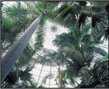 NYBG presents World Eco-tour