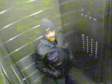 Search is on for Co-op City robber and assailant
