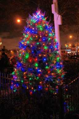 Throggs Neck tree lighting draws hundreds