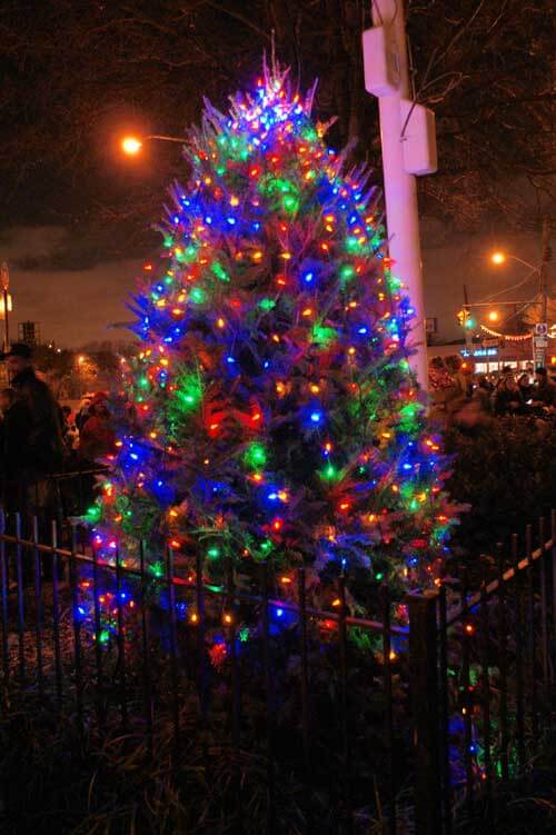 Throggs Neck tree lighting draws hundreds