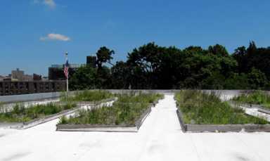 St. Mary’s Recreation Center gets green fix