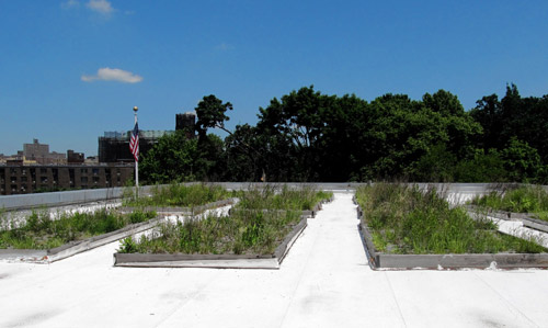 St. Mary’s Recreation Center gets green fix