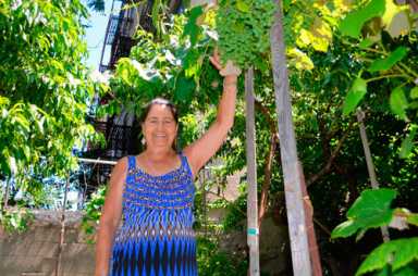 Garden of Eden prospers in Belmont