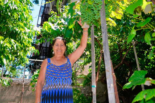 Garden of Eden prospers in Belmont