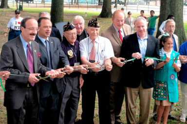 Damaged and broken, a war memorial grove comes back to life