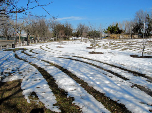 ATV tears a hole in the heart of Vet Park