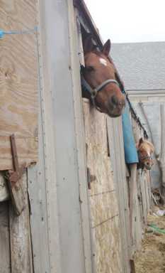 End of the trail for Rusty’s stable