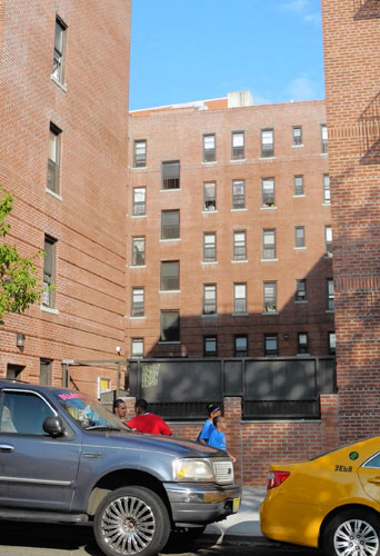 Liu blocks Crotona shelter contract