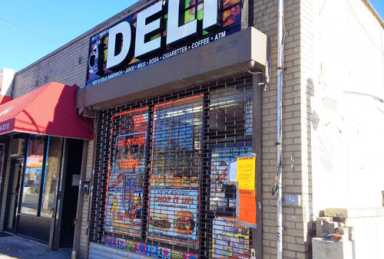 Vice squad closes deli