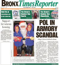 Bronx Times Reporter: November 29